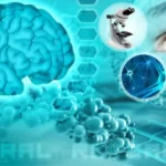 Relación entre neurociencia y psicología clínica